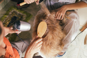 a dog being groomed