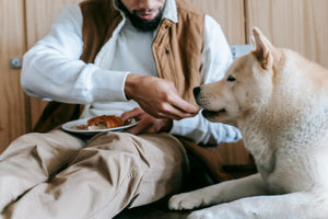 A large dog eats some food that their owner is feeding them